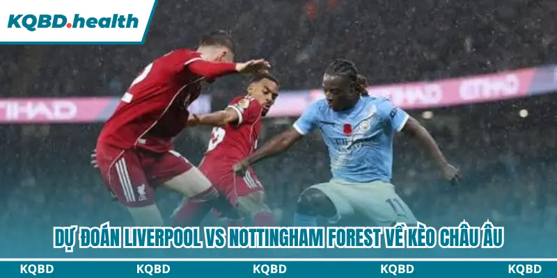 Dự đoán kèo châu Âu chính xác trận Liverpool vs Nottingham Forest